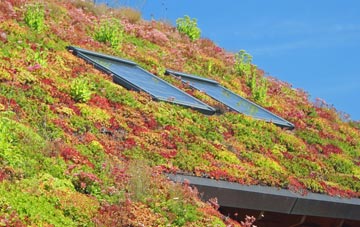 Shortlanesend living roof systems